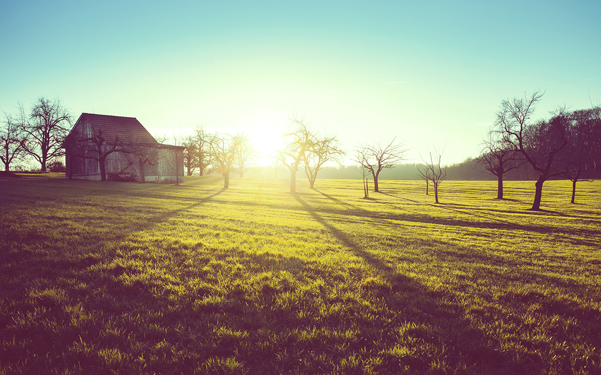 無料で使えるフリー画像 写真素材 野原に朝日が昇る Ramica