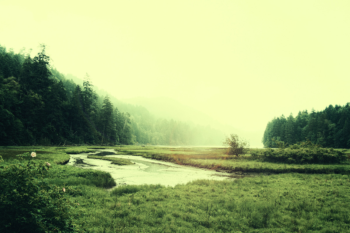 無料で使えるフリー画像 写真素材 森と湖 Ramica